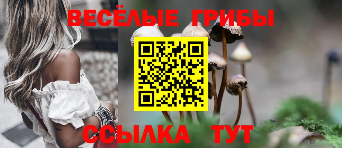 Джанкой  Галлюциногенные грибы Psilocybe  Вход с VPN  Псилоцибиновые грибы мухоморы 